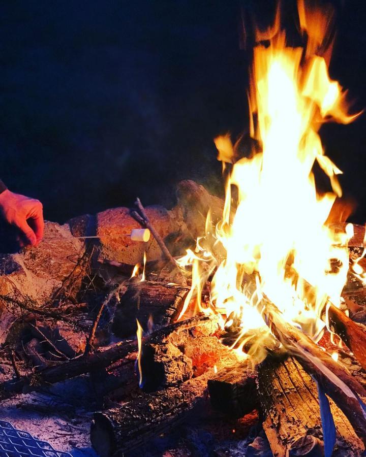 Kuusehaldja Glamping Hotel Kohila Bagian luar foto