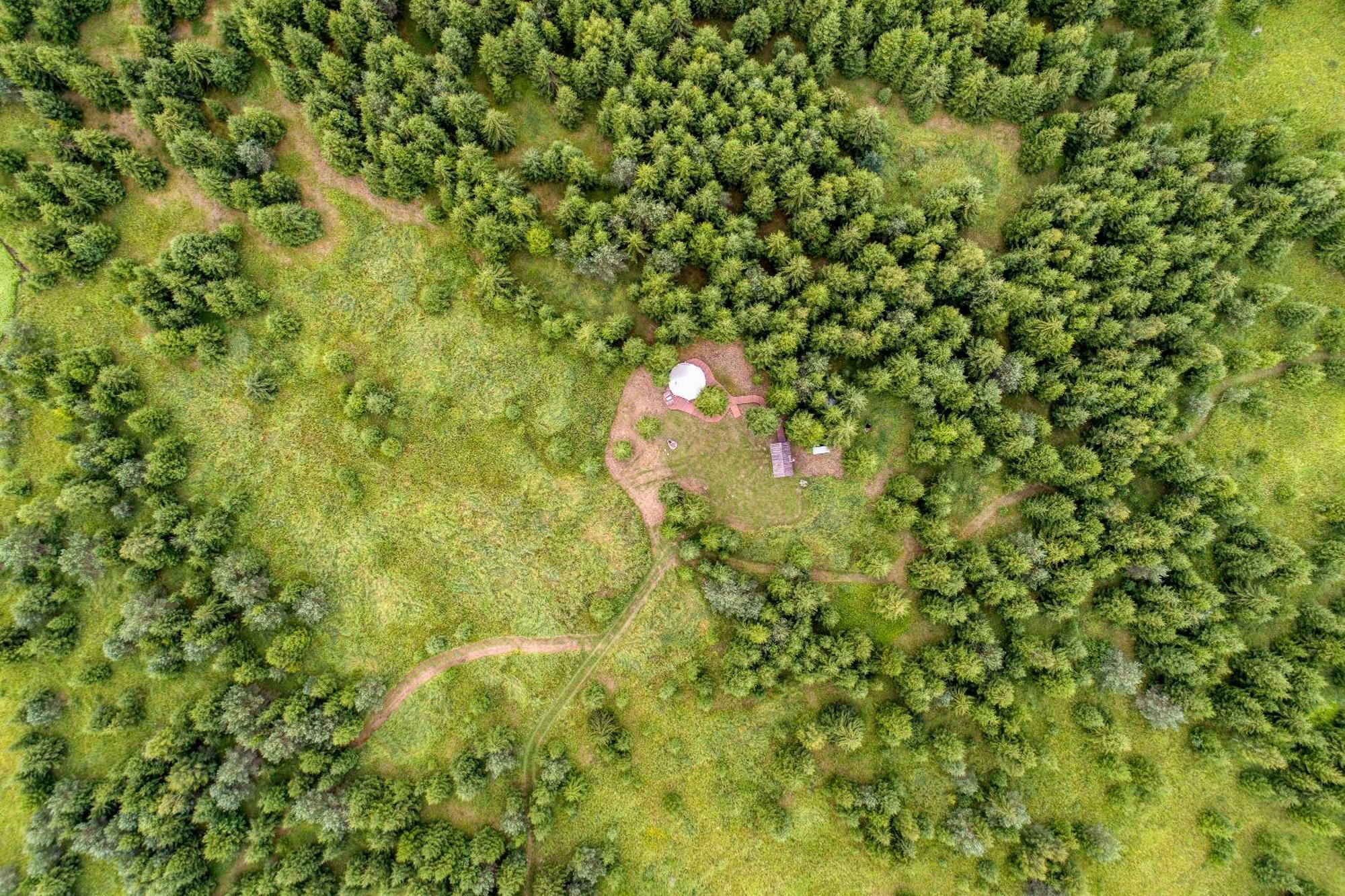 Kuusehaldja Glamping Hotel Kohila Bagian luar foto